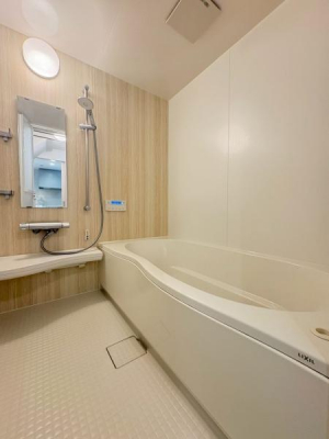 �����@�������ꂽ�o�X���[���́A������̂���ؖڒ��A�N�Z���g�p�l����������������Ԃ����o�B�������Ƃ��������ɐg���ς˂�΁A����̔����S�n�悭�n���Ă����܂��B