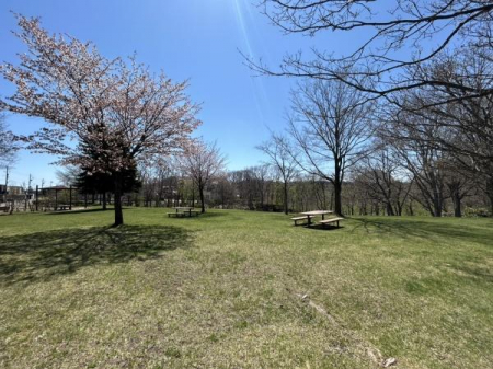 ���̑����n�@-