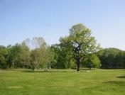 ���ӊ��@-