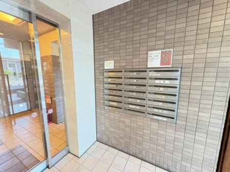 �G���g�����X�@-