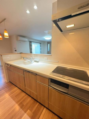 �L�b�`���@�֗��ȃr���g�C���H��􂢊����@��W�����������V�X�e���L�b�`���B�ʓ|�Ȍ�Еt�������N���N�ł��B�΂��g��Ȃ����S�ł��|�����ȒP�ȂR����IH�q�[�^�[���̗p���A�Z���������̉Ǝ����X�}�[�g�ɃT�|�[�g�B